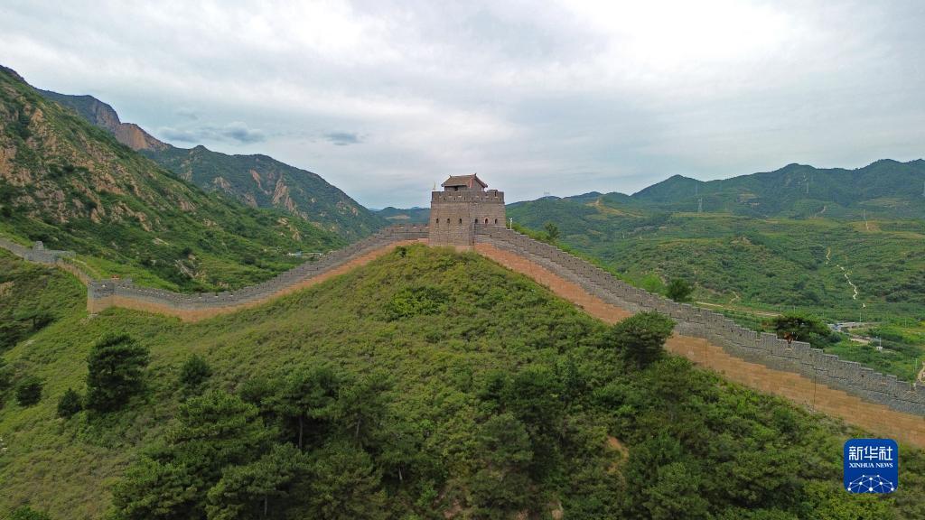 大满惯水果机